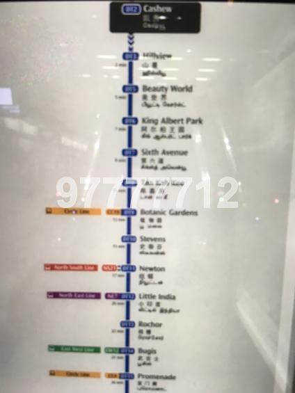 Blk 133 Cashew Road (Bukit Panjang), HDB Executive #139503942